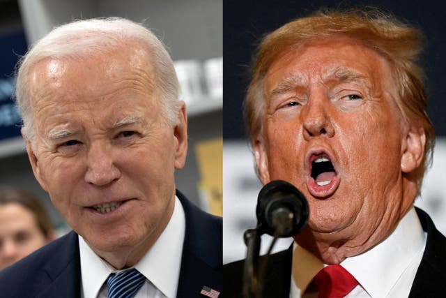 <p>Donald Trump leads Joe Biden in the latest national polling of registered voters</p>